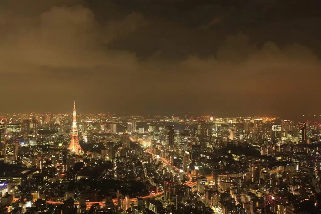 🌳 소리마치의 숲 공원(소리마치노모리 코엔) 이미지 7